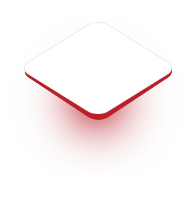 Servicio personalizado